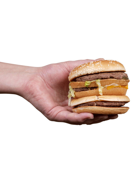 Burger in hand one - Φωτογραφία, εικόνα