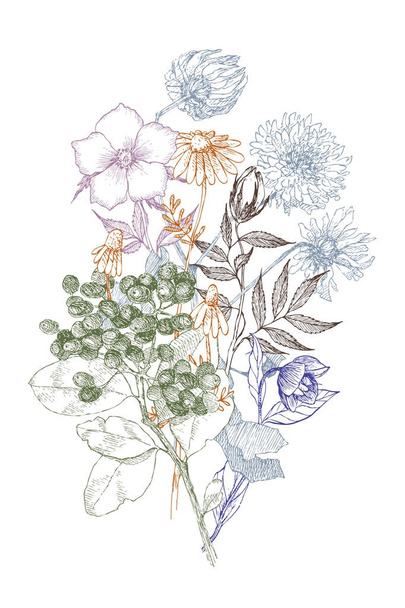Vintage botanische Illustration Blume. Blütenkonzept. Botanica-Konzept. Vektordesign. - Vektor, Bild