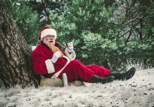 Санта-Клауса їдять солодкий смачні пряники. - Фото, зображення