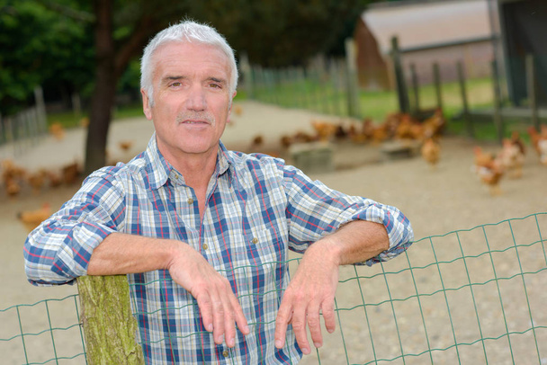 poultry farmer posing and fence - Foto, Imagen