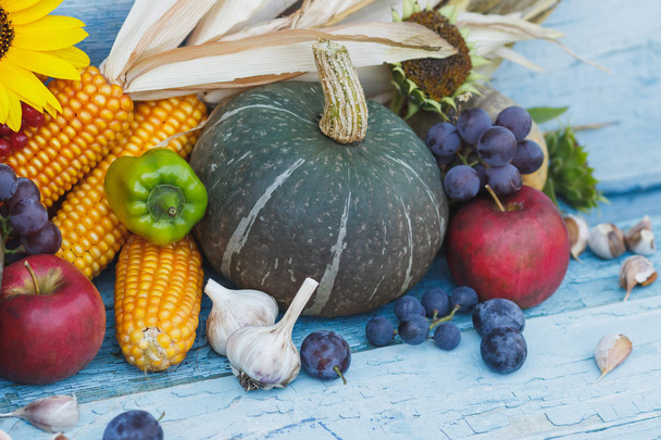 Pumpkin, corn and different ripe vegetables and fruits - Photo, Image