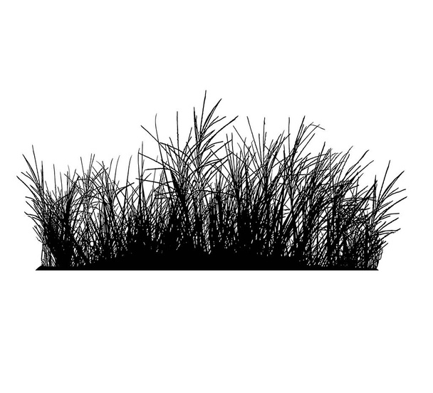 Реалистичные силуэты травы (векторная иллюстрация)
). - Вектор,изображение