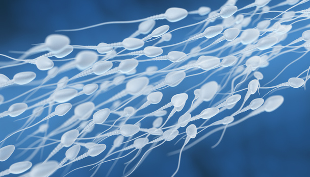 Flusso di sperma umano
 - Foto, immagini