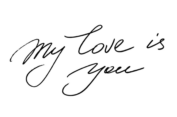 My love is you. Handwritten black text on white background, vect - Vektör, Görsel