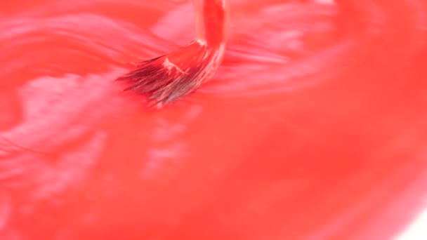 someone draws paint on a white sheet. close-up of a tassel. 4k, slow motion. draw a heart with red paint - Footage, Video