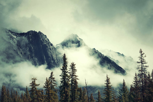 Εθνικό Πάρκο Banff - Φωτογραφία, εικόνα