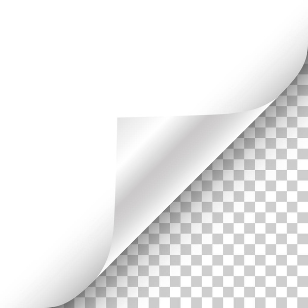 weiße Seite gewellte Ecke mit Schatten auf transparentem Hintergrund realistische Vektor-Illustration. - Vektor, Bild