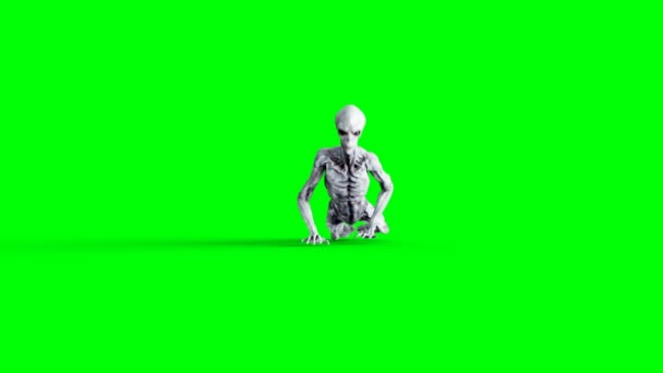 Alien crawling. Realistic motion and skin shaders. 4K green screen footage. - Кадры, видео