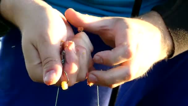 Kalastajien kädet valmistavat syötin kaloille
. - Materiaali, video