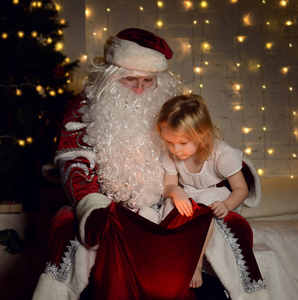 Santa Claus with happy little cute children boy and girl near Christmas tree - Photo, Image