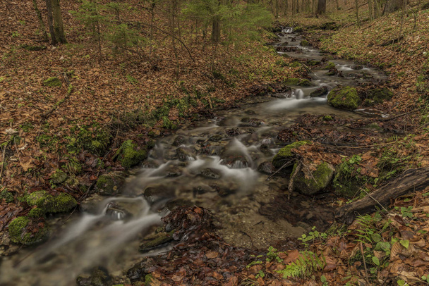 Bansky creek near Spania Dolina village - Fotoğraf, Görsel