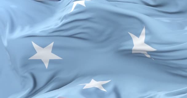 Zászlaja a Mikronéziai Szövetségi Államok integetett a szél, lassú hurok - Felvétel, videó