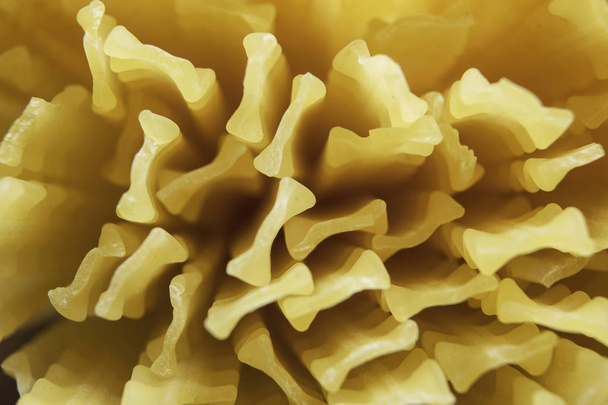 Close of yellow pasta - Foto, imagen