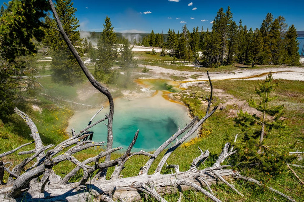 Heiße Thermalquelle in Yellowstone  - Foto, Bild