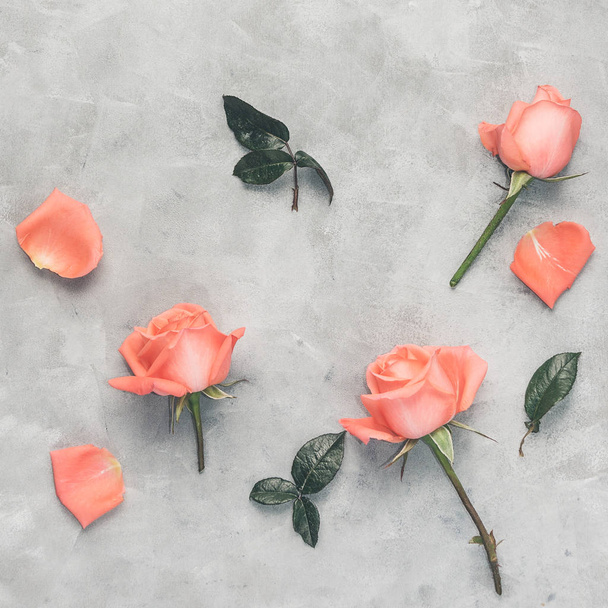 Top view flat lay Pink roses on grey background. Romantic decoration - 写真・画像