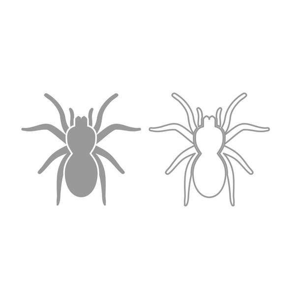 Spider or tarantula icon. Grey set . - Vector, Image