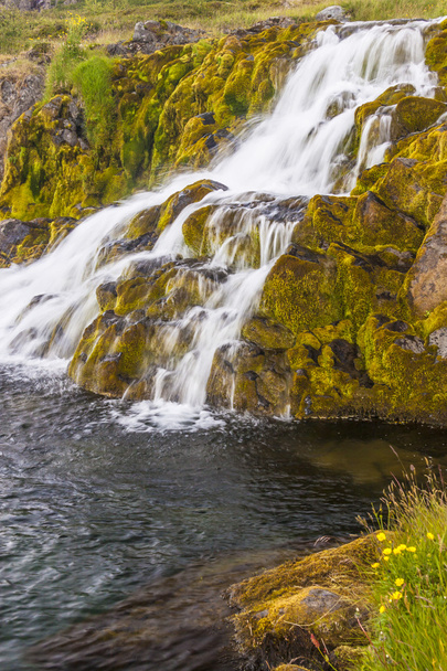 Clean water - waterfall, Iceland. - Photo, Image