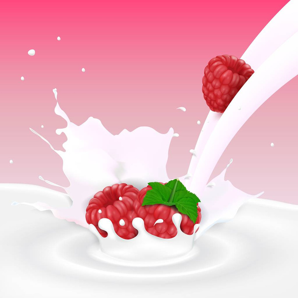 Flowing milk splash with raspberry fruits - Vector, Image