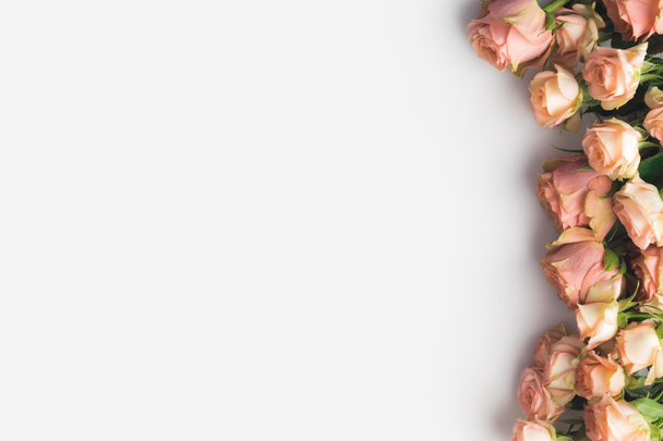 розовые цветы
 - Фото, изображение