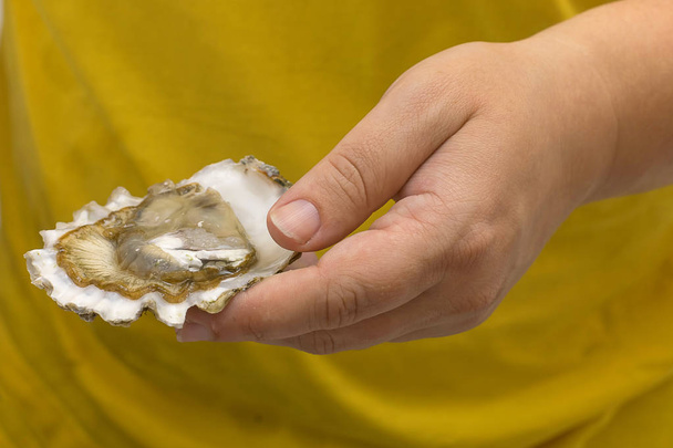 oyster from the sea close-up - Foto, imagen