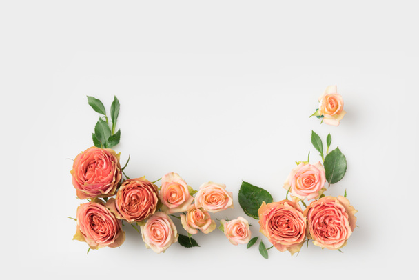 Rosafarbene Blüten - Foto, Bild