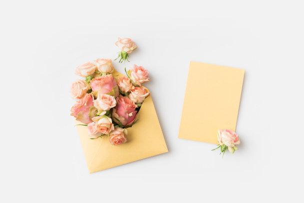 pink roses in envelope - Фото, изображение