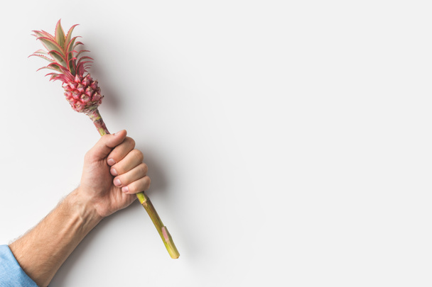 mão segurando abacaxi rosa
 - Foto, Imagem