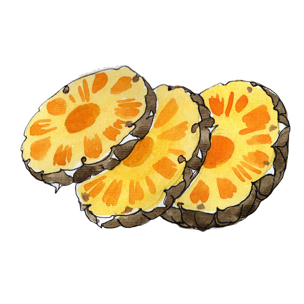 Dzikie owoce egzotyczne ananasy w stylu przypominającym akwarele na białym tle. - Zdjęcie, obraz
