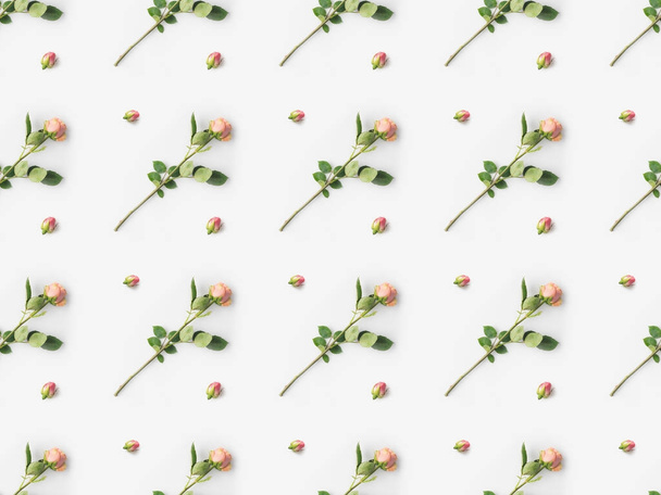 Rosas rosas con pétalos
 - Foto, imagen