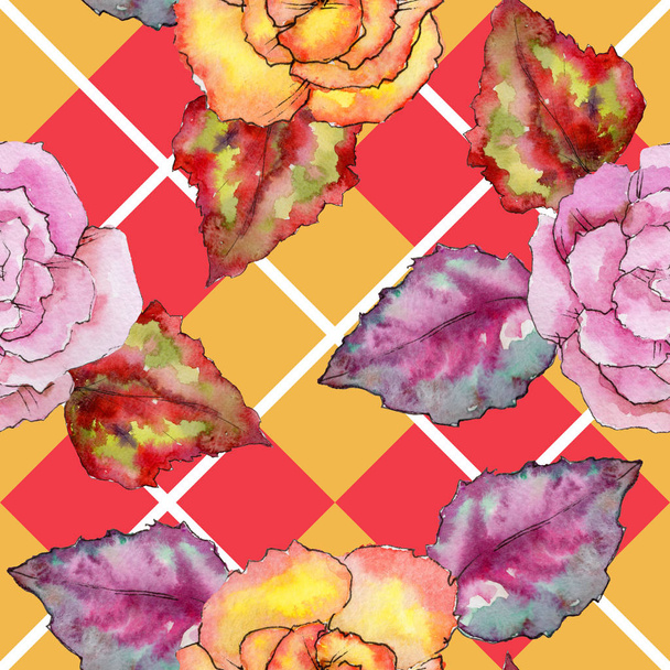 Wildflower begonia flower in a watercolor style isolated. - Foto, afbeelding