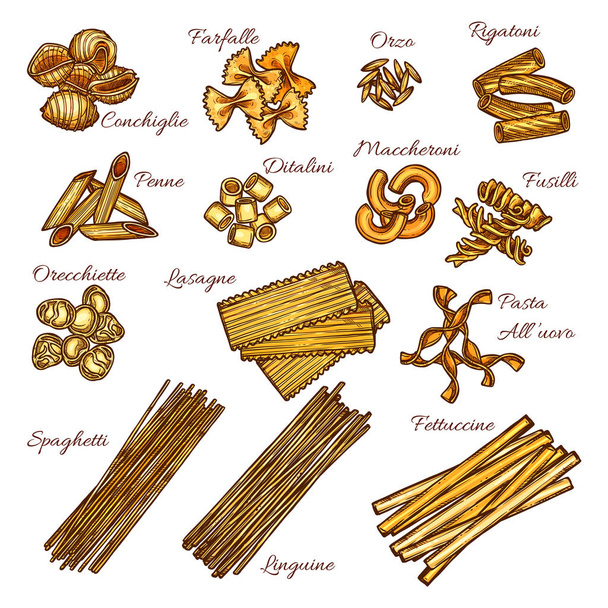 Макарони і спагетті ескіз набір італійські макарони - Вектор, зображення