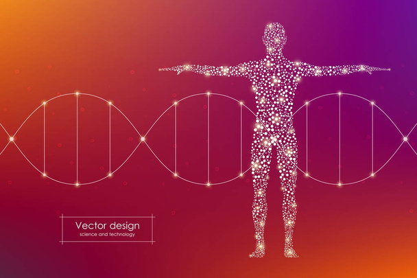 abstrakte menschliche Körper mit Molekülen dna. Medizin, Wissenschaft und Technologie. Vektorillustration - Vektor, Bild