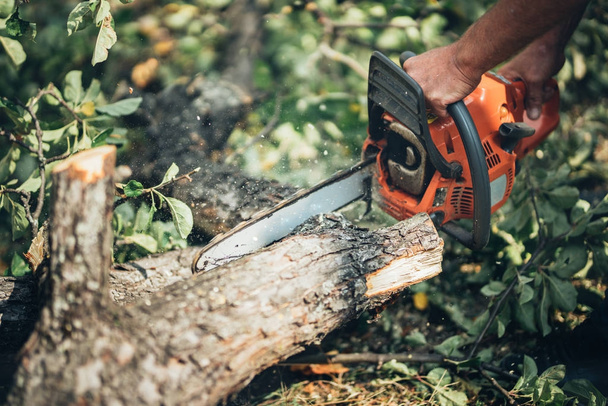 Chainsaw in action cutting fire wood. Man cutting wood with professinal chainsaw - Foto, Imagem