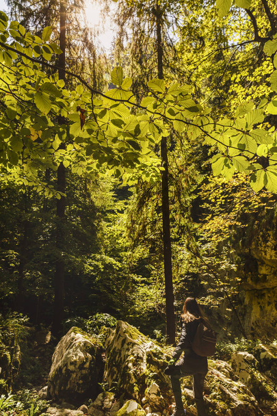 Mujer excursionista con mochila en un sendero en el bosque
 - Foto, Imagen