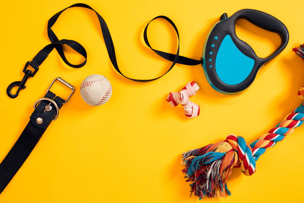 Juguetes - cuerda multicolor, bola, correa de cuero y hueso. Accesorios para jugar y entrenar sobre fondo amarillo vista superior
 - Foto, imagen