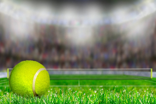コピー スペース草裁判所のテニス ・ ボール - 写真・画像