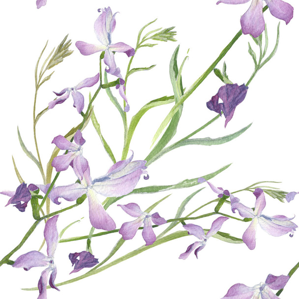 Flowers and branches -hoary stock. Matthiola incana. Seamless pattern.  - Foto, Imagen
