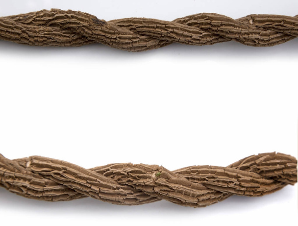 rama de hiedra seca como forma de cuerda
 - Foto, imagen