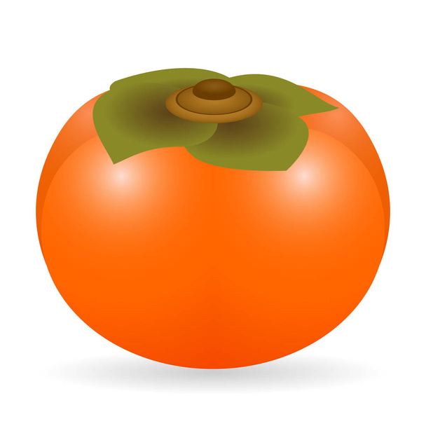Persimmon vector isolated - ベクター画像