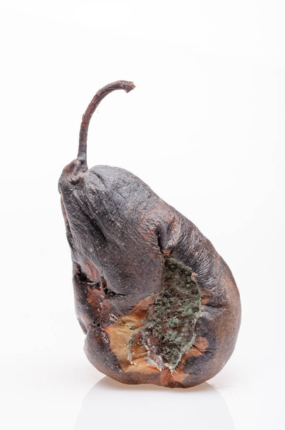 Wrinkled and rotten brown pear isolated - Photo, Image