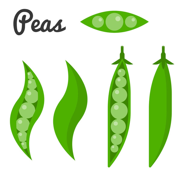 野菜、豆、エンドウ豆の皮が付いたままのベクトルのセットのベクトルを設定 - ベクター画像