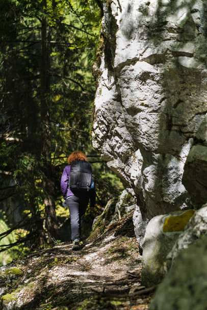 Женщина-туристка с рюкзаком на тропе в лесу
 - Фото, изображение