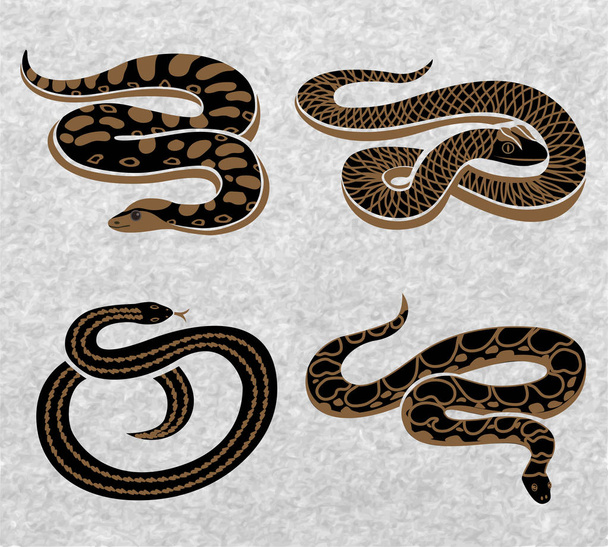 Black Snakes Set - Vector, Image