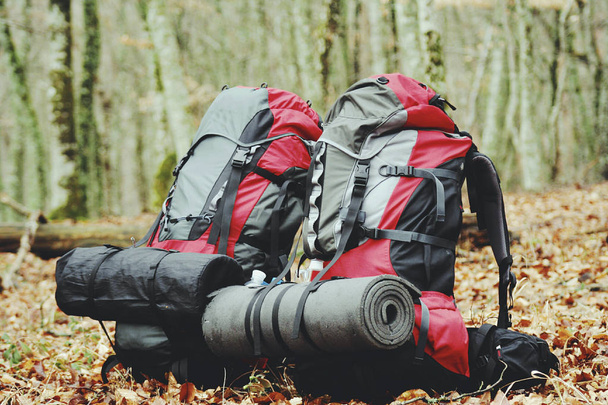 Autumn campaign in the mountains. The backpack is standing on a  - 写真・画像