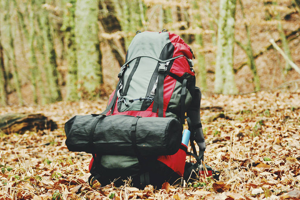 Autumn campaign in the mountains. The backpack is standing on a  - Foto, Imagem