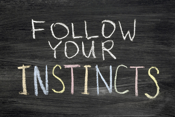 Follow your instincts - Photo, Image