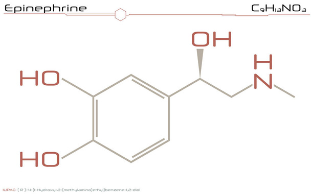 Molecule of Epinephrine - Вектор,изображение