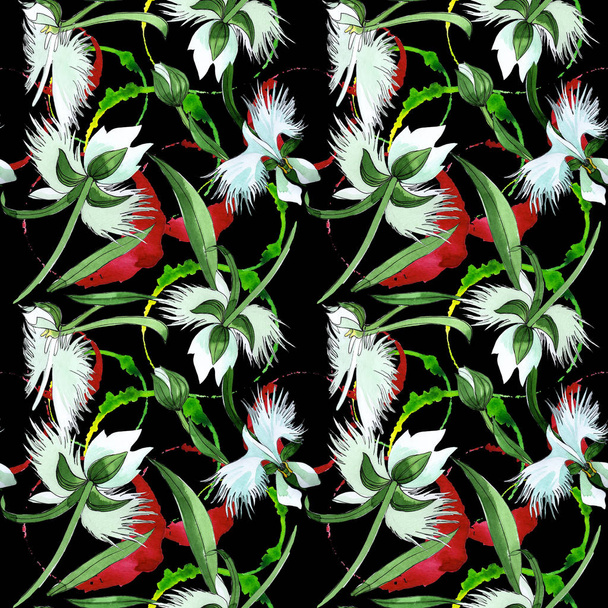 Wildflower orchid flower pattern in a watercolor style. - Foto, immagini