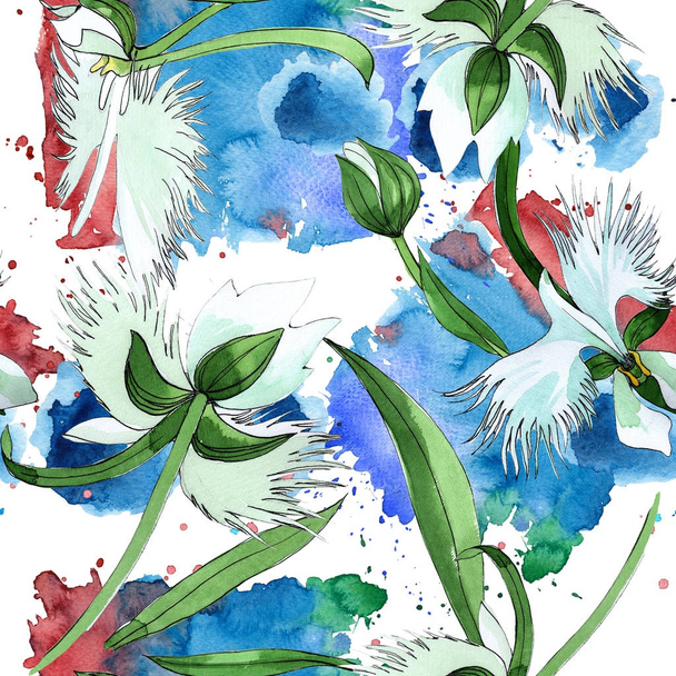 水彩画のワイルドフラワー蘭の花のパターン. - 写真・画像