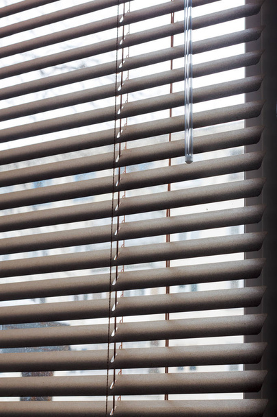 Fragmento das cortinas venezianas brancas com cabo de elevação e haste de giro de um controle manual em primeiro plano
 . - Foto, Imagem